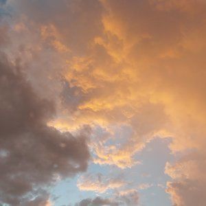 Meet your Posher, Taryn